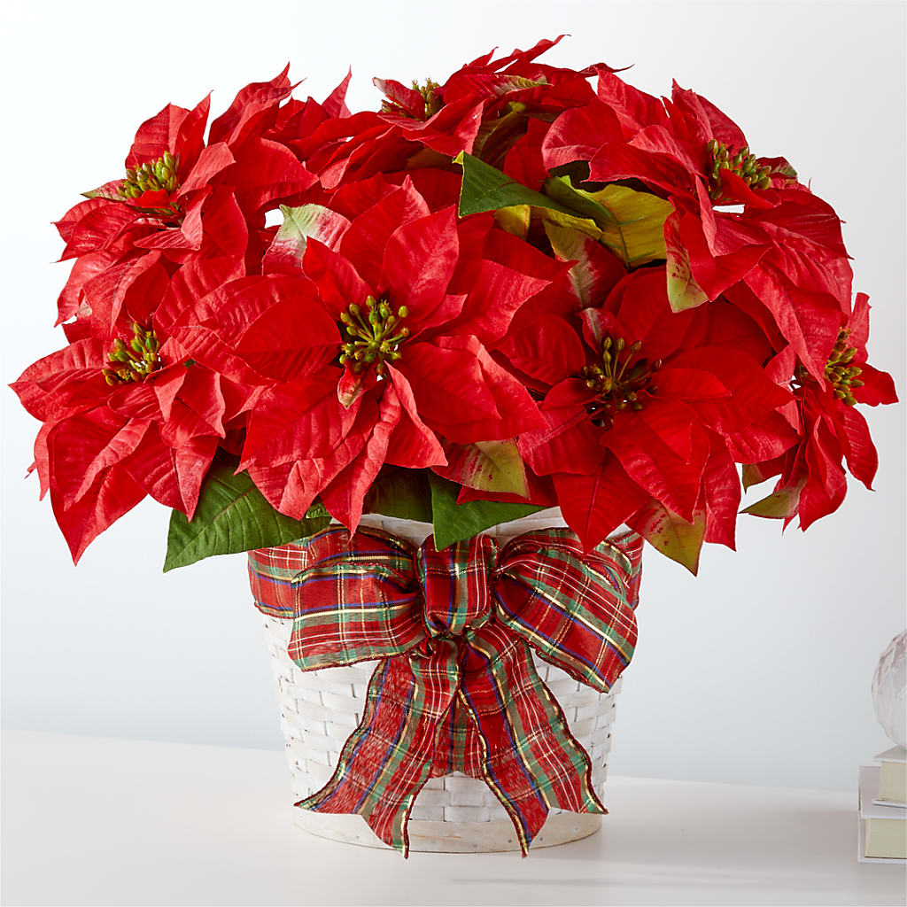 Happiest Holidays Poinsettia – Corum Flower Shop, Manchester KY