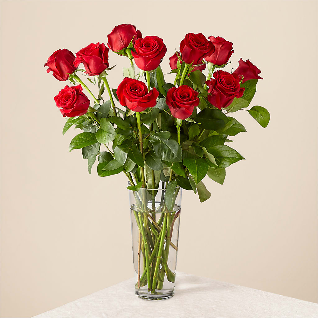 Long Stem Red Rose Bouquet – Corum Flower Shop, Manchester KY