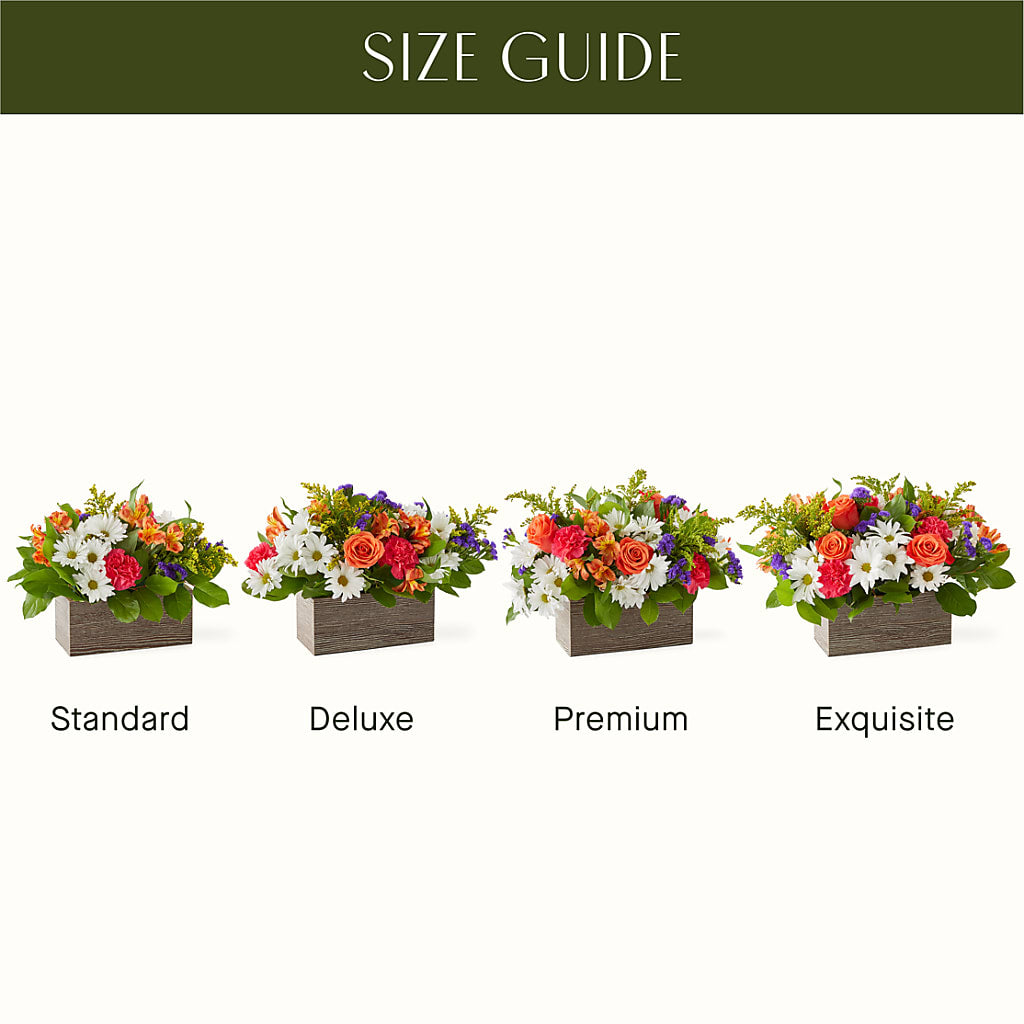 Oopsie Daisy Box Bouquet – Corum Flower Shop, Manchester KY