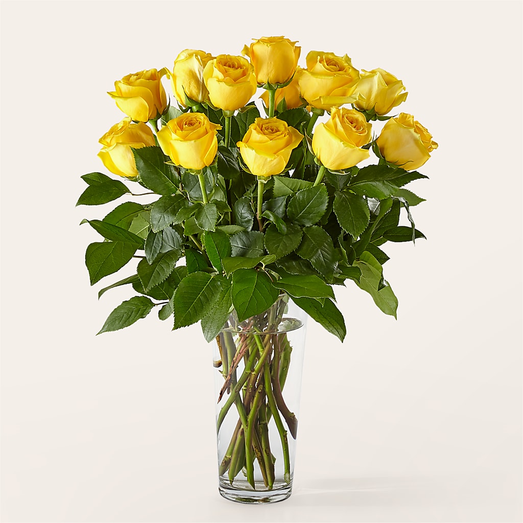 Long Stem Yellow Rose Bouquet – Corum Flower Shop, Manchester KY