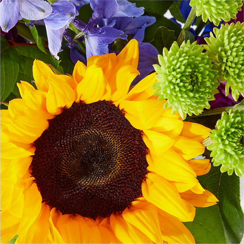 Catching Rays Bouquet – Corum Flower Shop, Manchester KY