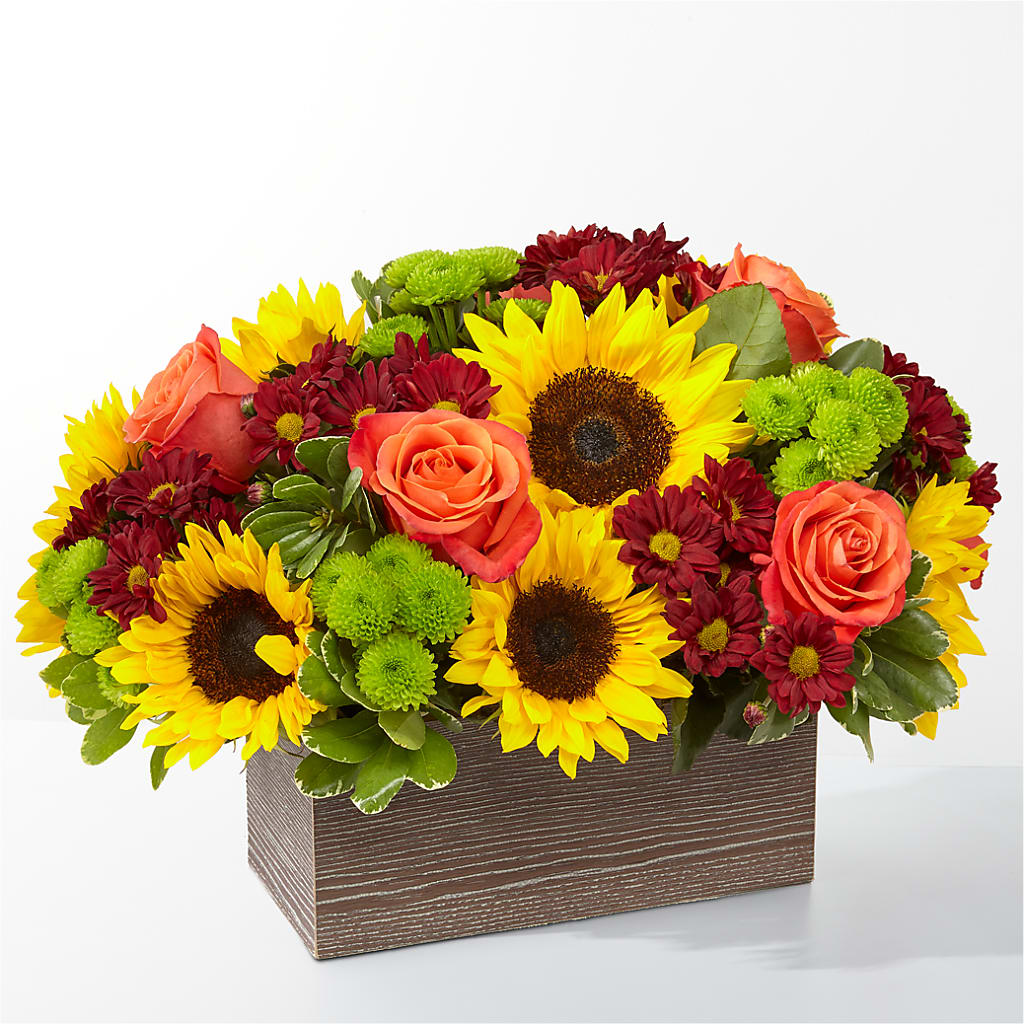 Happy Harvest Garden – Corum Flower Shop, Manchester KY