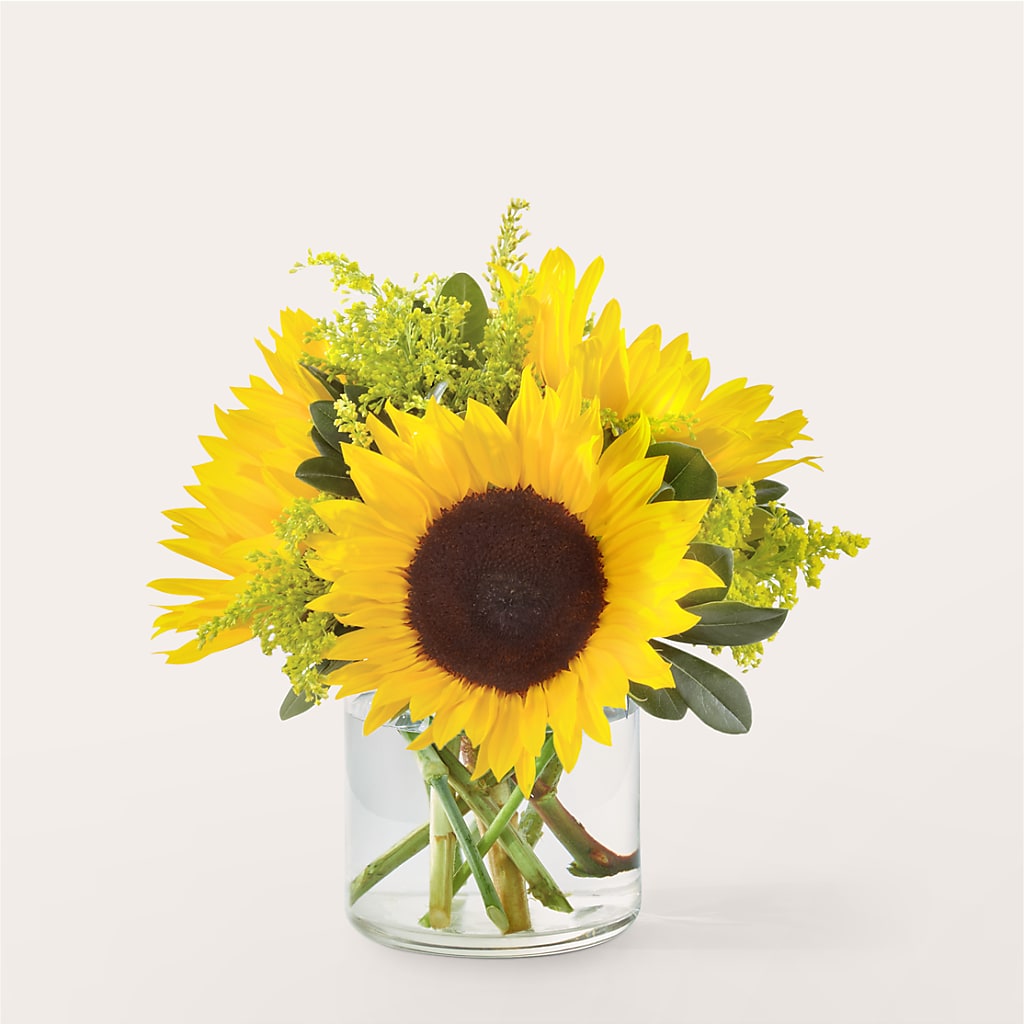 Beaming Sunflower Bouquet – Corum Flower Shop, Manchester KY
