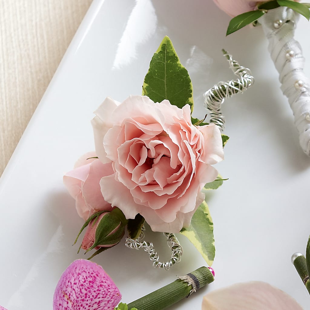 Pink Spray Rose Boutonniere – Corum Flower Shop, Manchester KY