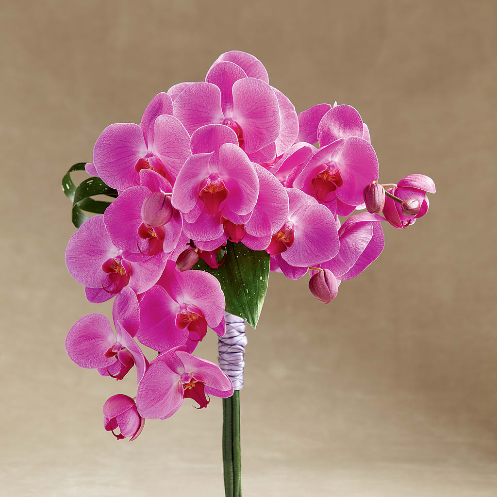 Glorious Bouquet – Corum Flower Shop, Manchester KY