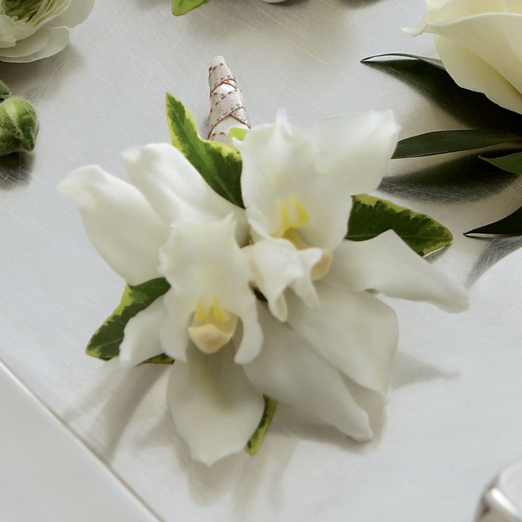 White Mini Cymbidium Boutonniere – Corum Flower Shop, Manchester KY