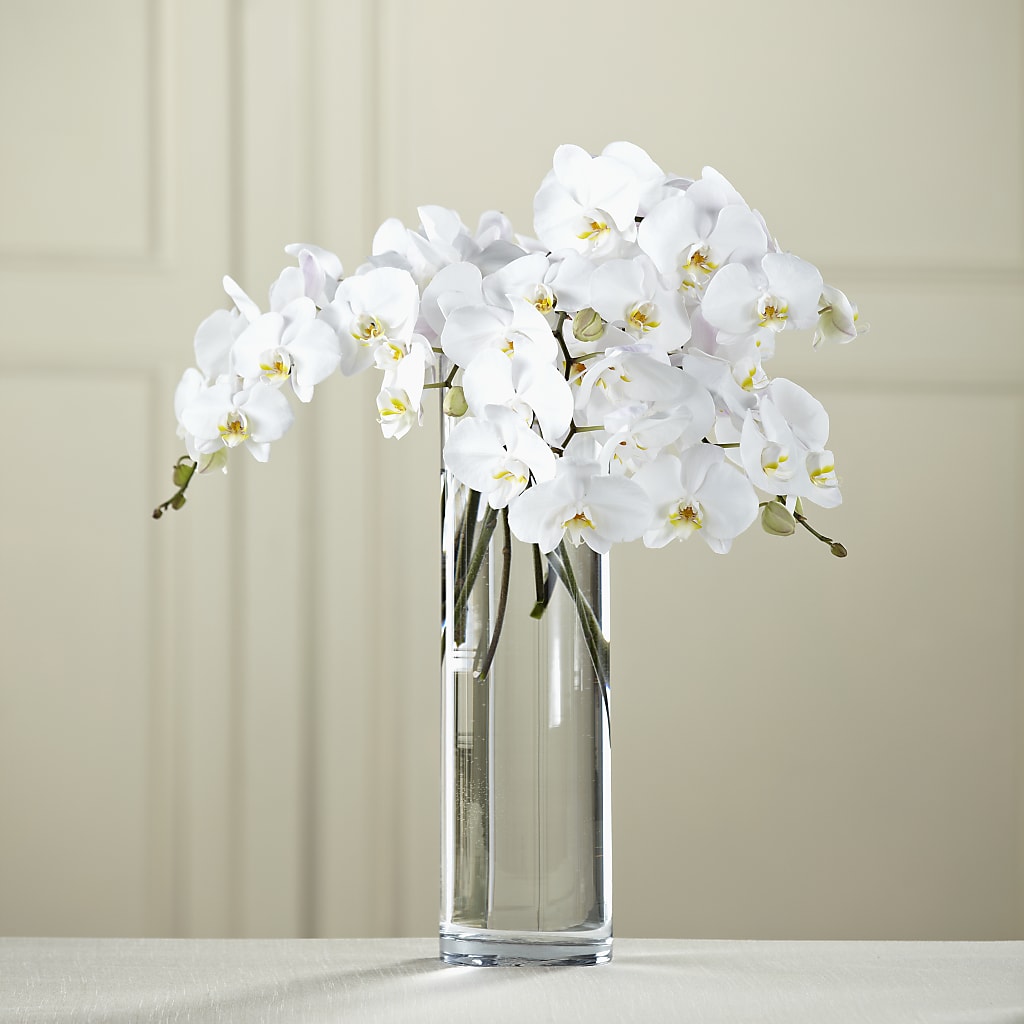 White Phalaenopsis Bouquet – Corum Flower Shop, Manchester KY
