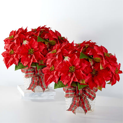 Happiest Holidays Poinsettia Bundle –  Corum Flower Shop, Manchester KY