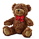 Adorable Plush Bear –  Corum Flower Shop, Manchester KY