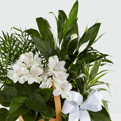 Peace & Serenity Dishgarden –  Corum Flower Shop, Manchester KY