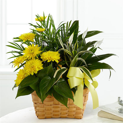 Loving Light Dishgarden –  Corum Flower Shop, Manchester KY