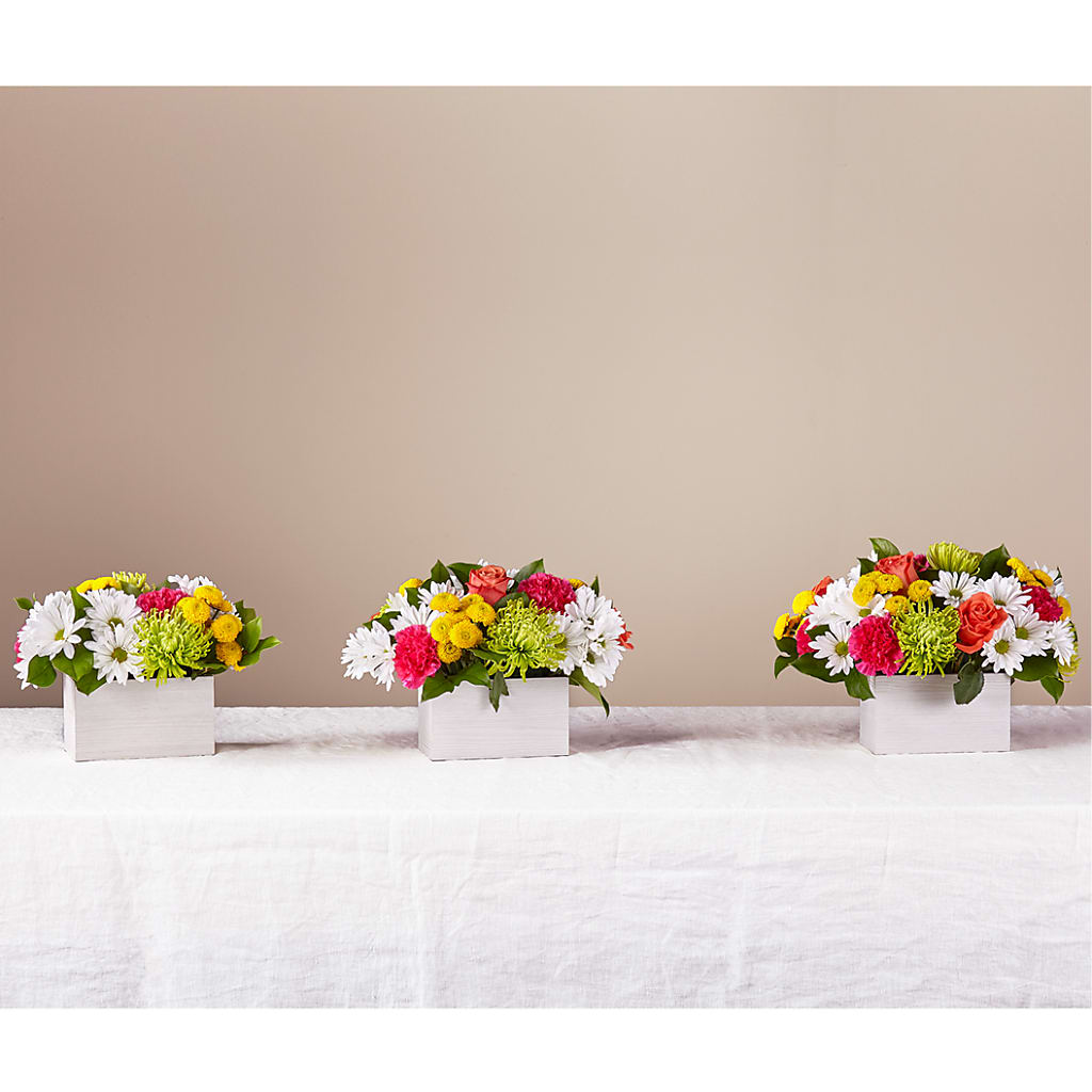 Sorbet Bouquet –  Corum Flower Shop, Manchester KY