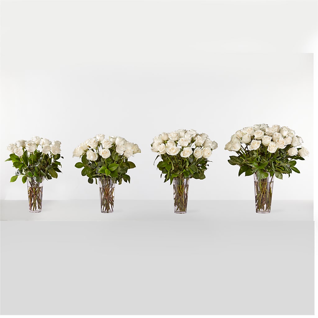 Long Stem White Rose Bouquet –  Corum Flower Shop, Manchester KY