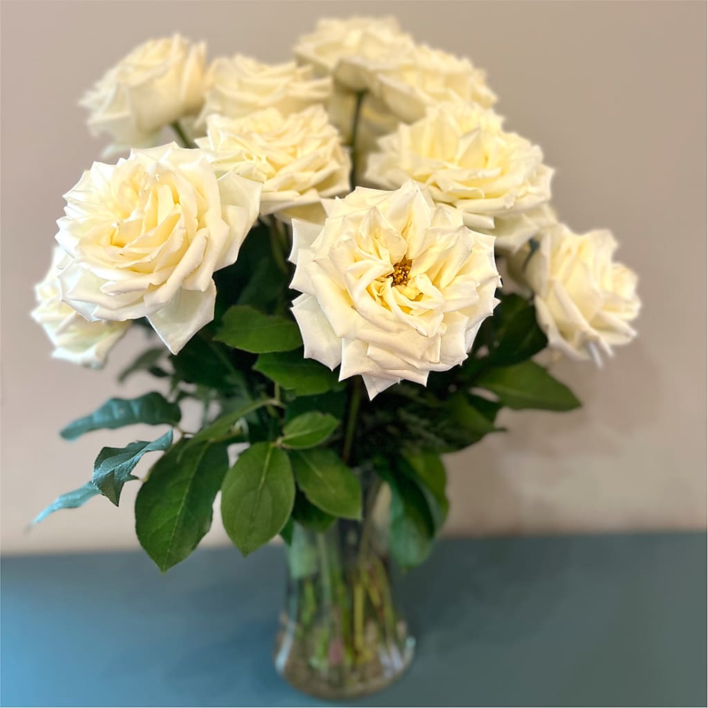Long Stem Yellow Rose Bouquet –  Corum Flower Shop, Manchester KY