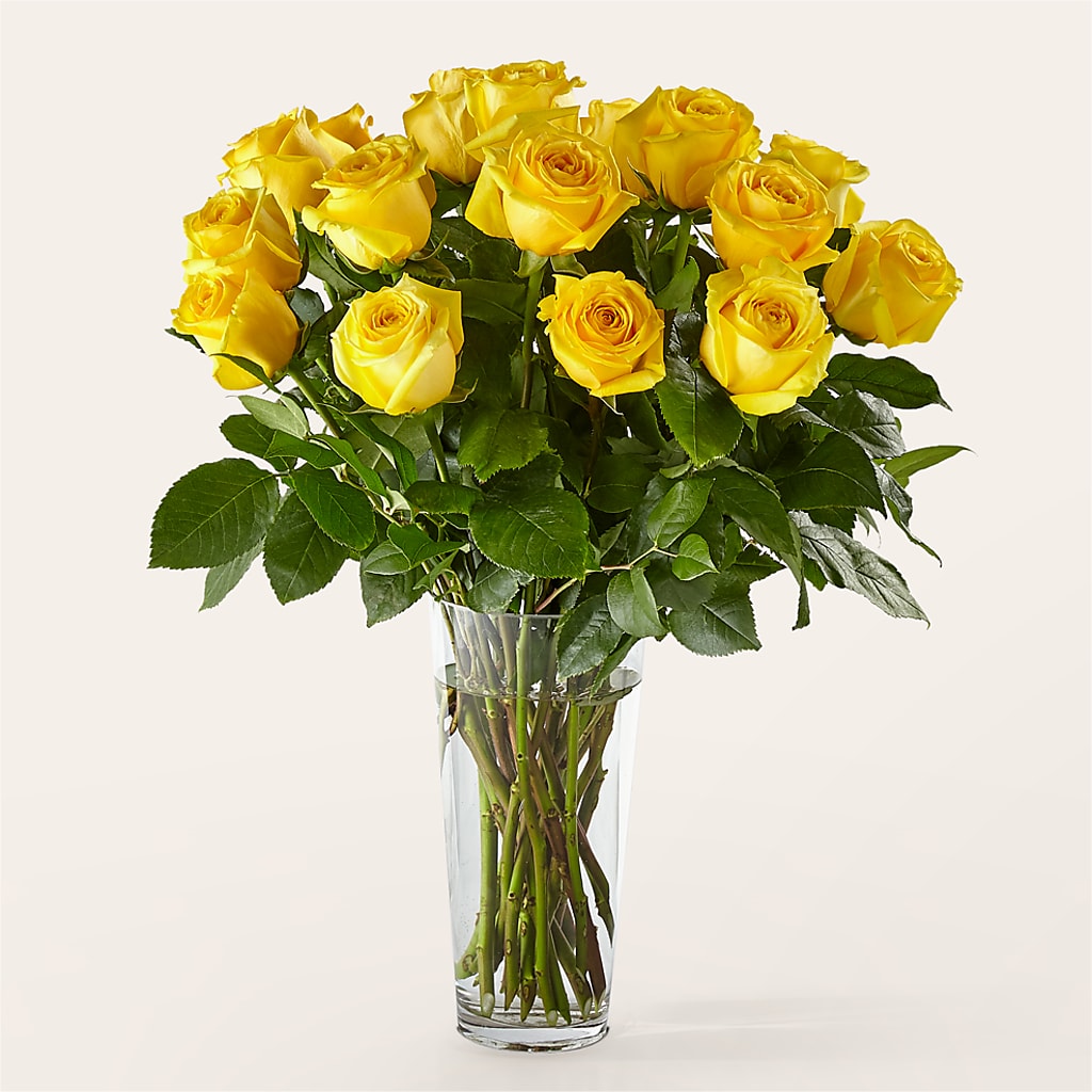Long Stem Yellow Rose Bouquet –  Corum Flower Shop, Manchester KY
