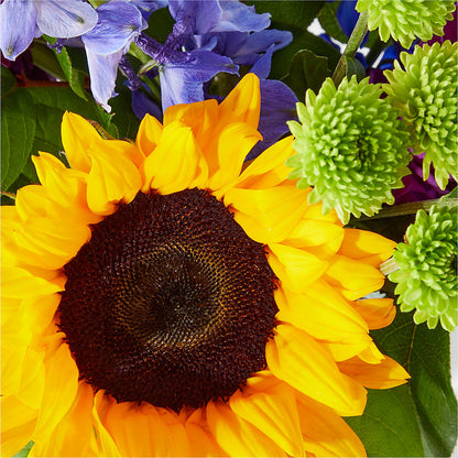 Catching Rays Bouquet –  Corum Flower Shop, Manchester KY