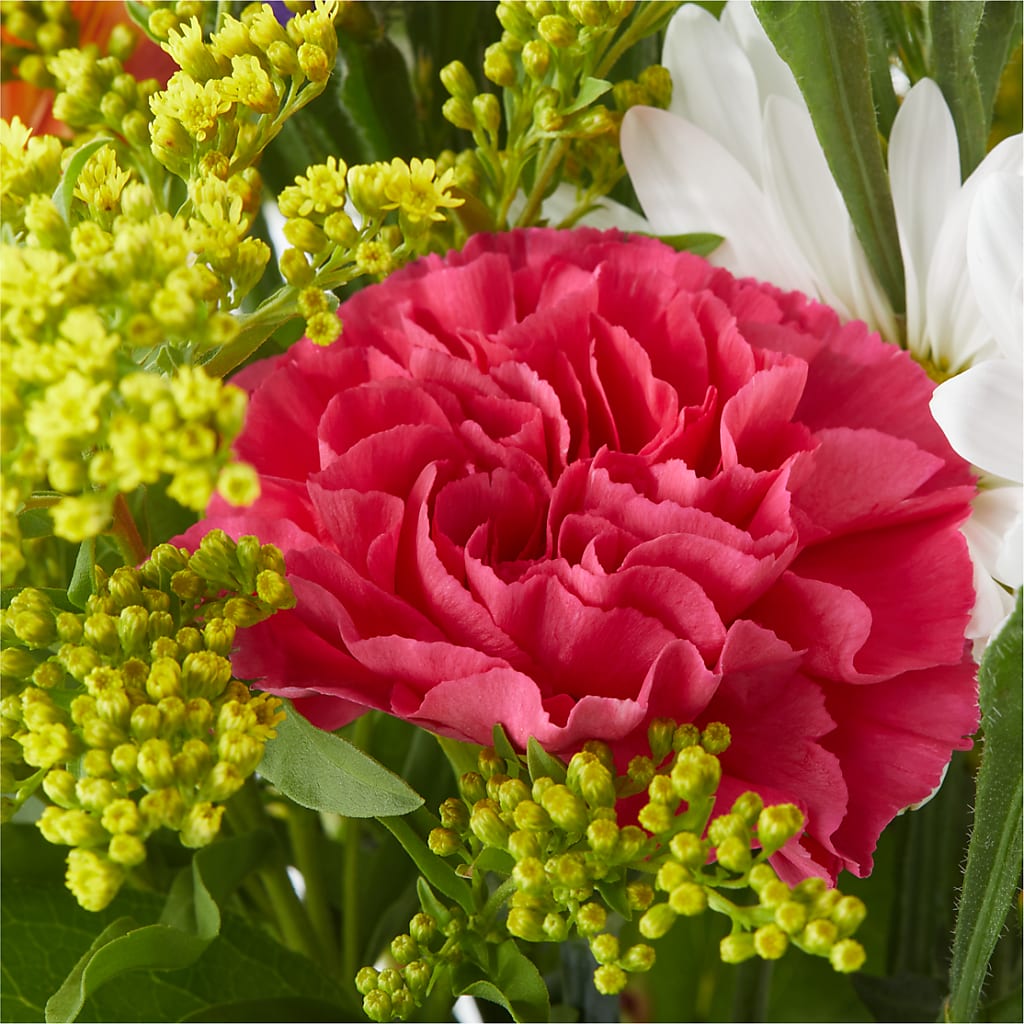 Oopsie Daisy Bouquet –  Corum Flower Shop, Manchester KY