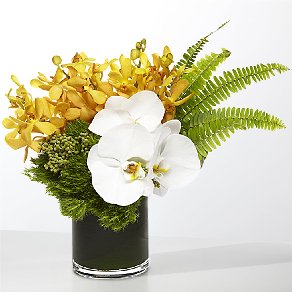 The Tropics –  Corum Flower Shop, Manchester KY