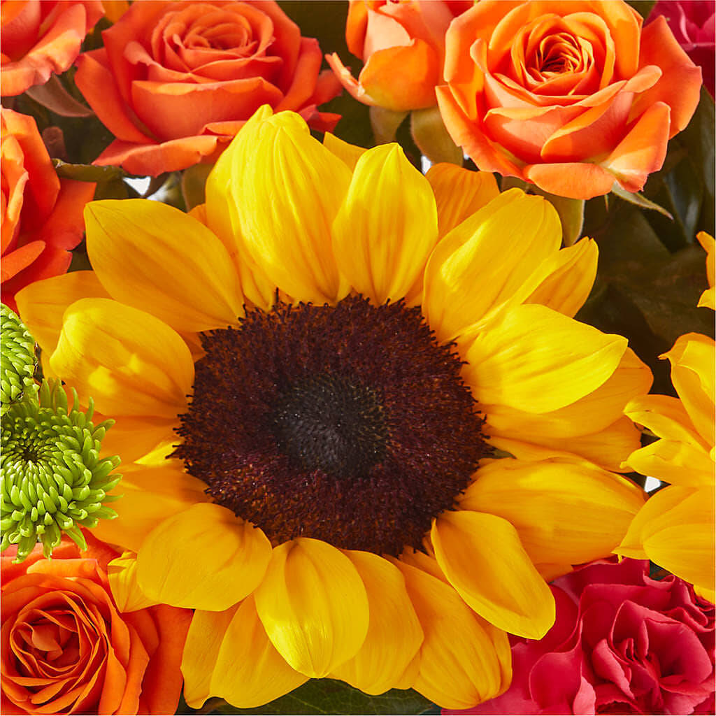 Sun-drenched Blooms Box Bouquet –  Corum Flower Shop, Manchester KY