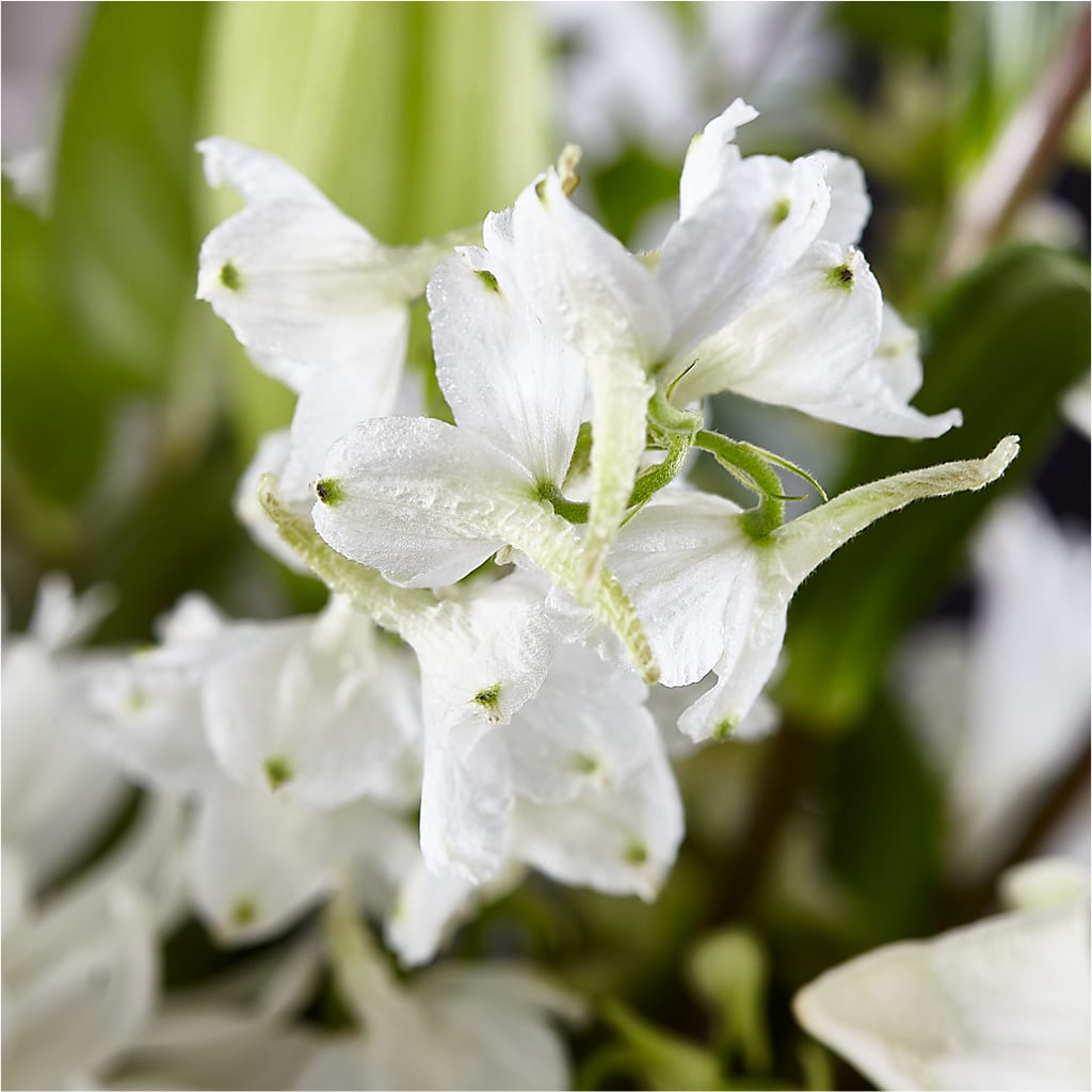 Classic Ivory – A Florist Original –  Corum Flower Shop, Manchester KY