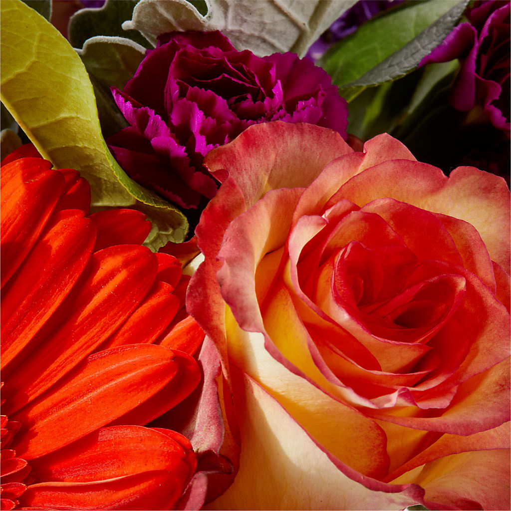 Sangria Bouquet –  Corum Flower Shop, Manchester KY