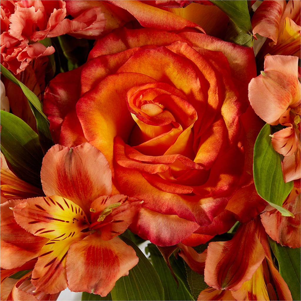 Apricot Glow Bouquet –  Corum Flower Shop, Manchester KY