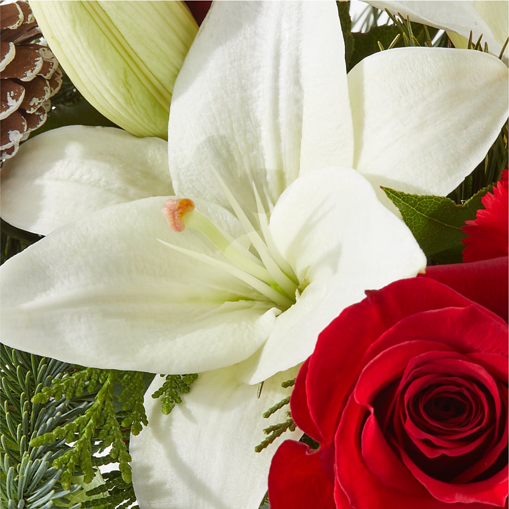 Oh So Jolly Bouquet –  Corum Flower Shop, Manchester KY