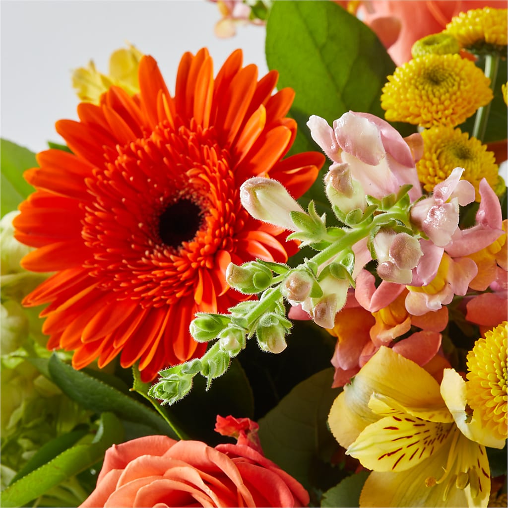 Autumn Sunshine Bouquet –  Corum Flower Shop, Manchester KY