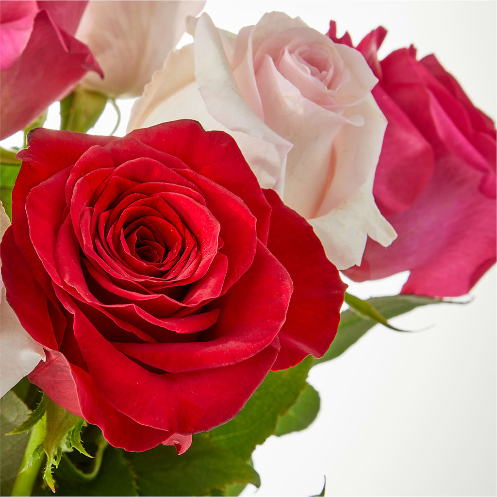 Charming Rose Bouquet –  Corum Flower Shop, Manchester KY