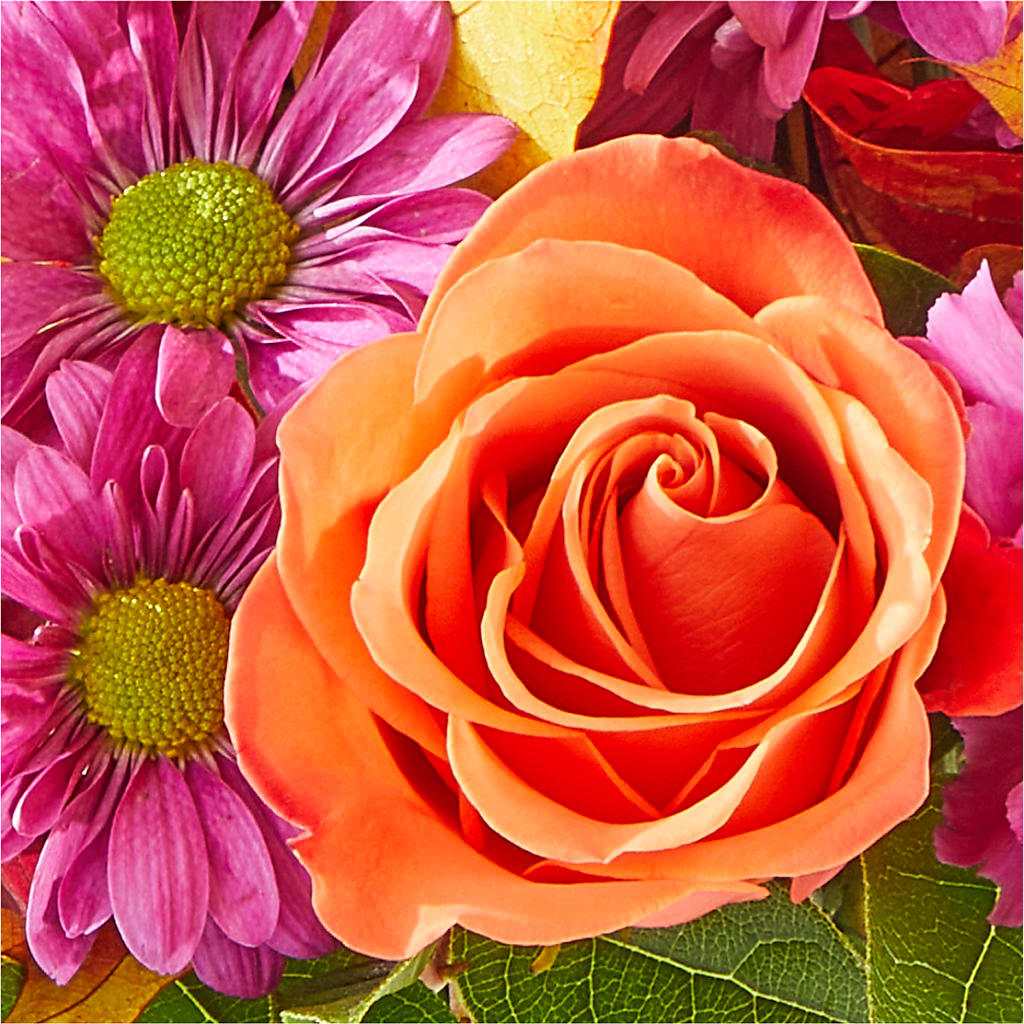 Mum's the Word Bouquet –  Corum Flower Shop, Manchester KY