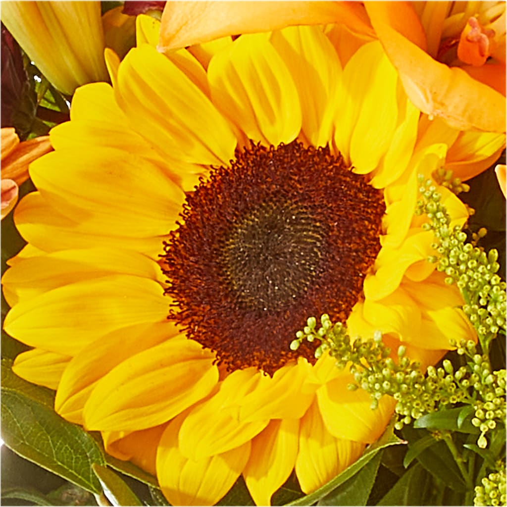 Seasons Change Bouquet –  Corum Flower Shop, Manchester KY