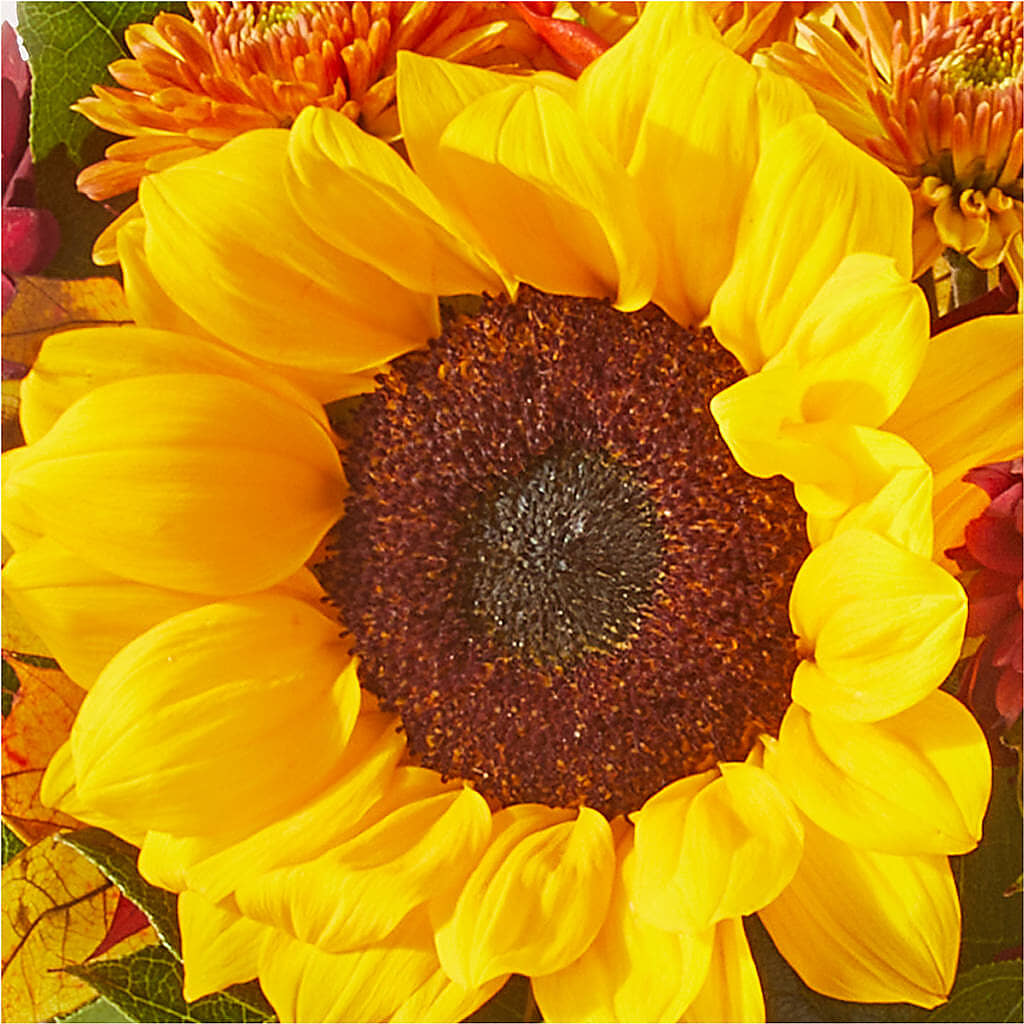 Sunny Side Bouquet –  Corum Flower Shop, Manchester KY