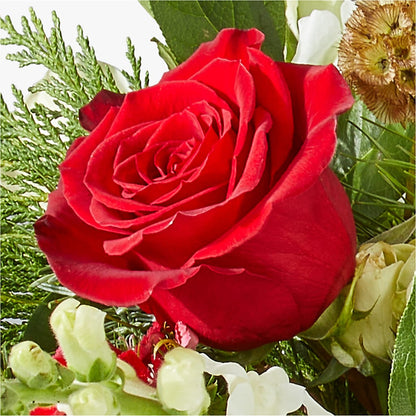 Deck the Halls Bouquet –  Corum Flower Shop, Manchester KY