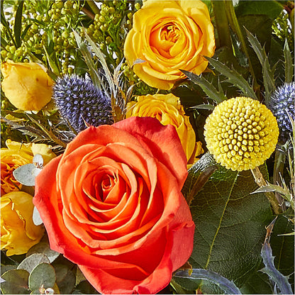 Disco Bouquet –  Corum Flower Shop, Manchester KY