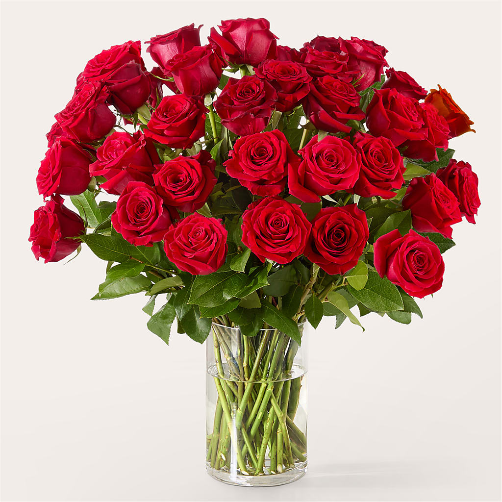 The One Red Rose Bouquet –  Corum Flower Shop, Manchester KY