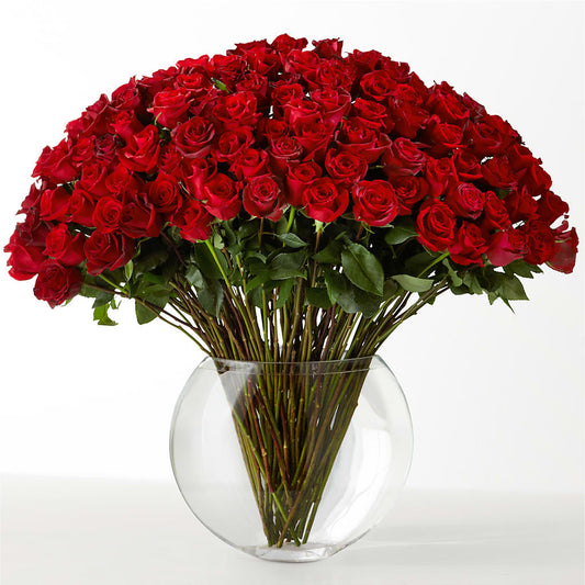 The Idealist –  Corum Flower Shop, Manchester KY