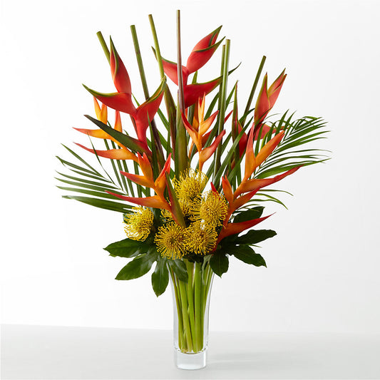 The Drama –  Corum Flower Shop, Manchester KY