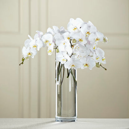 White Phalaenopsis Bouquet –  Corum Flower Shop, Manchester KY